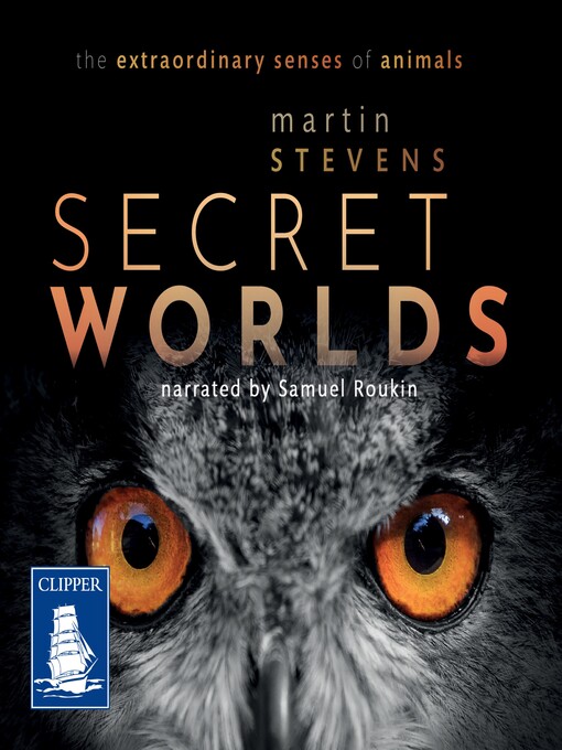 Nimiön Secret Worlds lisätiedot, tekijä Martin Stevens - Saatavilla